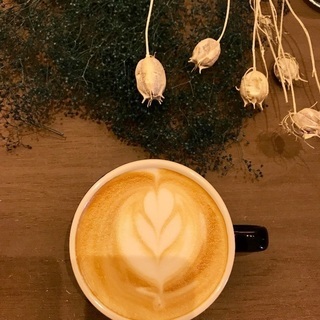 植物の帽子WORKSHOPの画像