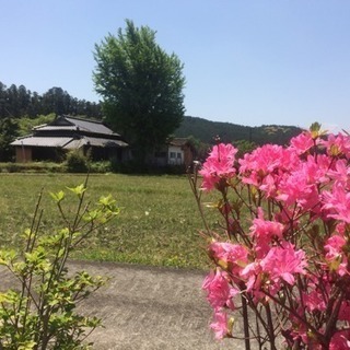 ホタルとカフェ会♪蛍の舞う秋月で癒しのカフェ会をします♪