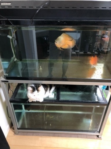 水槽 900水槽 水槽台 ニッソー  コトブキ