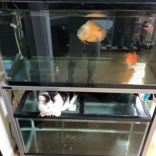 水槽 900水槽 水槽台 ニッソー  コトブキ