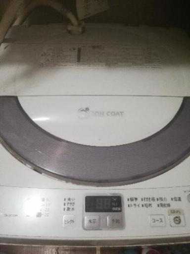 洗濯機　取りに来れる方！
