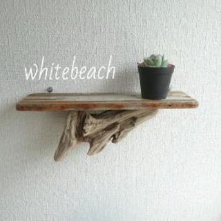 流木西海岸シェルフラック