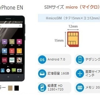 ヤマダ電機オリジナルモデル EveryPhone  EN ゴール...