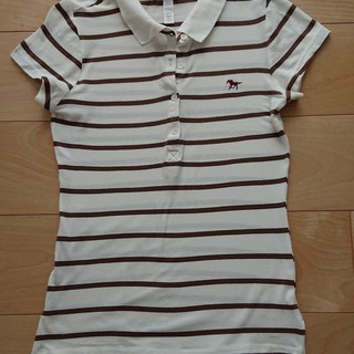 ポロシャツ　 ambiance appard