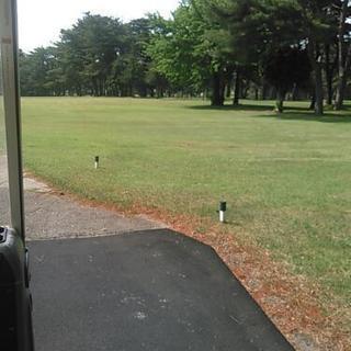 GOLF友達⛳✨大募集中！