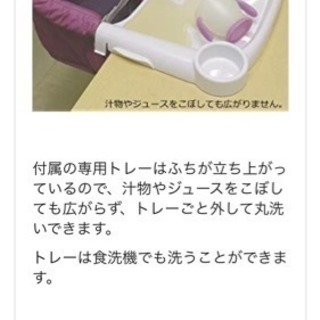 5000円→4000円にお値下げイングリッシーナ  ライム色の画像