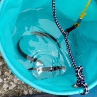 釣り友達