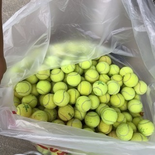 テニスボールの画像