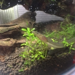 Interested in making friends fro...