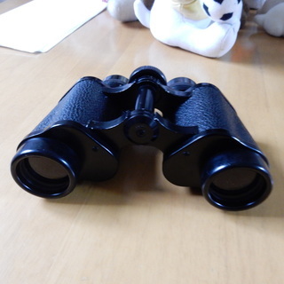 ALPS10X30双眼鏡の画像