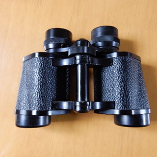 ALPS10X30双眼鏡の画像