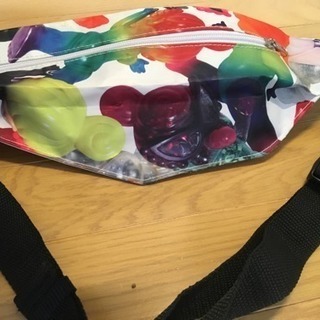 未使用 ヒステリックミニ ショルダーバッグの画像