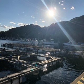 関西、三重県への活魚輸送の画像