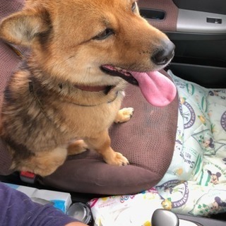 ありがとうございました。