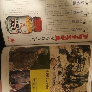 歴史の瞬間、戦後30年後、最後の日本軍人、島から帰還特集本の画像