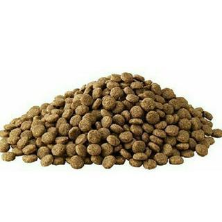アイムス (IAMS) シニア犬 11歳以上用  チキン 小粒 2.6kgの画像