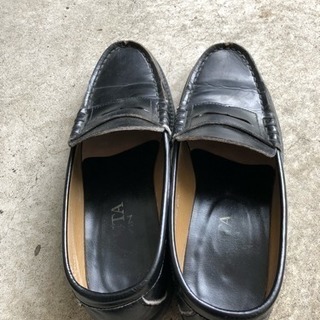 25.5センチ ハルタローファー