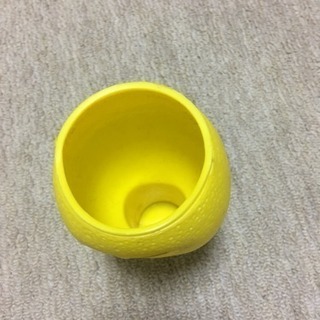 岡村レモンの画像