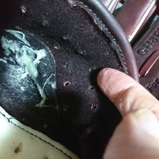 グローブのグリス入れ替えの画像