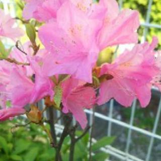 女性の友達‪‪☺︎‬