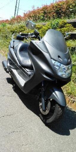 マジェC  限定車