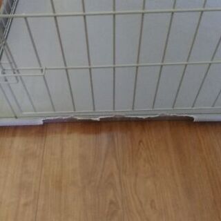 室内用犬ゲージの画像