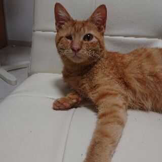 1歳未満くらいの女の子です