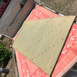 ニトリ イグサネゴザの画像