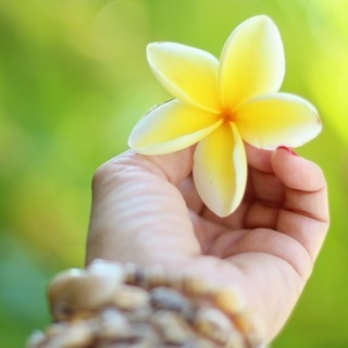 【セラピーを体験しあいませんか？】初心者/勉強中のセラピスト仲間募集！