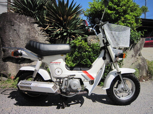 シャリーＣＦ５０