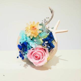 つめつめ ブッダナッツ レッスンの画像
