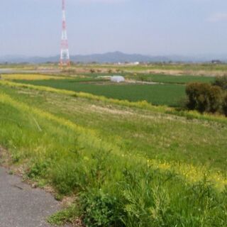 年齢性別関係なくの友達募集(^-^)