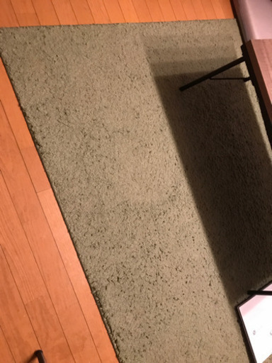 カーペット グリーン