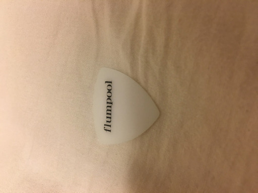 flumpool ピック ボーカル本人私物 山村隆太