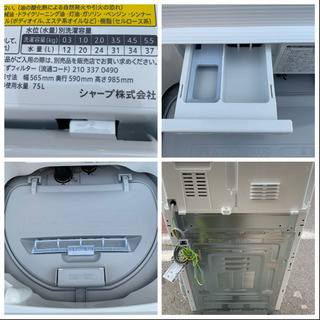 人気モデル 美品 洗濯機 SHARP 2018年 5.5kg洗い 1人暮らし 単身用 ES-TX5B-N 川崎区 SG