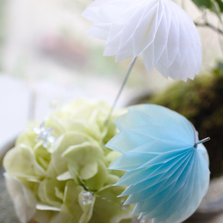 こけ玉・あじさい玉♥アレンジメント♥の画像