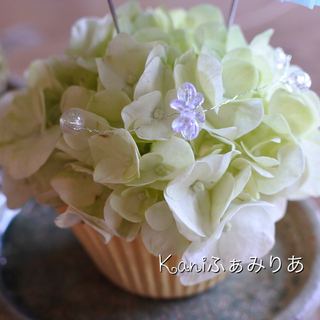 こけ玉・あじさい玉♥アレンジメント♥の画像