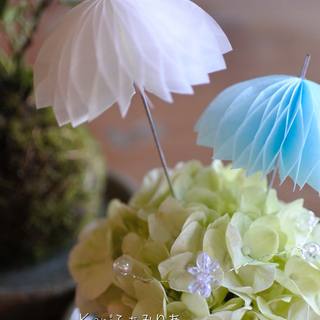 こけ玉・あじさい玉♥アレンジメント♥の画像