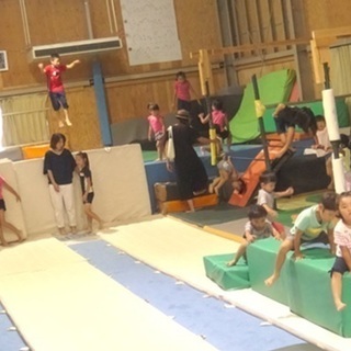ちびっこ体操教室の画像