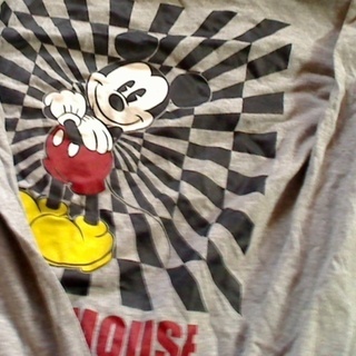 Ｔシャツ１枚　２００円　その他１０枚ほどありますの画像