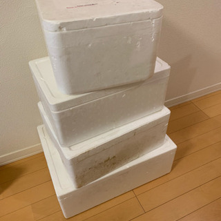 発泡スチロールの箱 6/4日の朝9時半まで