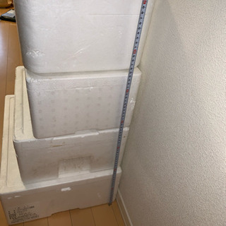 発泡スチロールの箱 6/4日の朝9時半までの画像