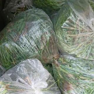 【草むしり】・【除草】・【庭木のお手入れ】承ります。おすすめします。 − 埼玉県