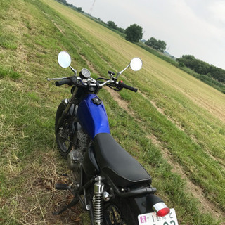 グラストラッカー 250