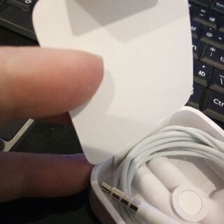 ipodnanoの純正品!イヤホンの画像