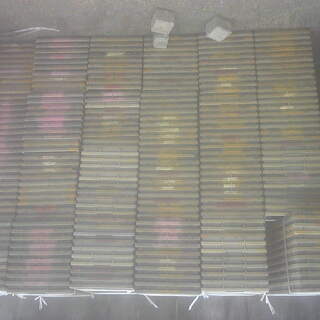 苗箱 苗トレー（中古）の画像