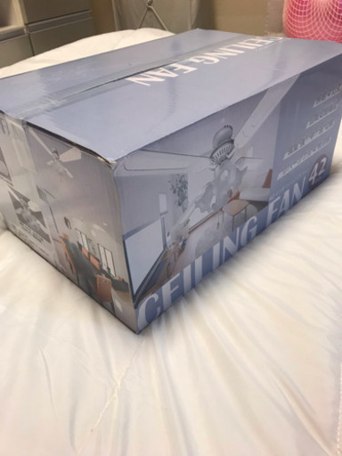 ⭐️新品⭐️ 未使用 シーリングファン