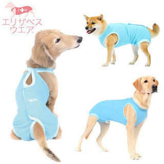 犬用 エリザベスウェア 5kg以上用