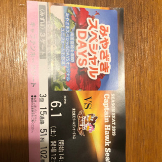 本日 6月1日 ソフトバンク野球チケット 楽天戦 14時開始（２枚）