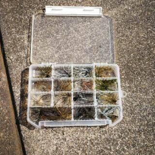 ブラックバス　スモールラバージグ